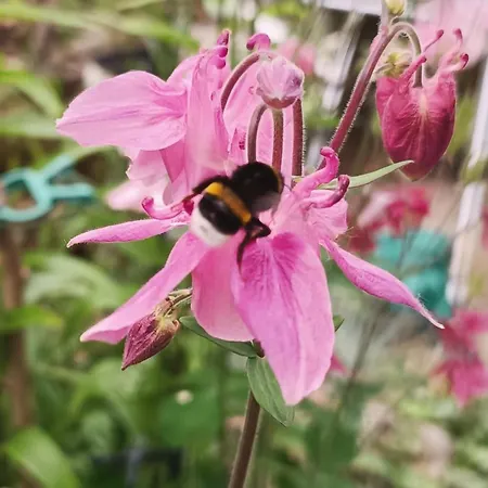 게스트하우스 Ferienunterkunft 바르싱하우젠