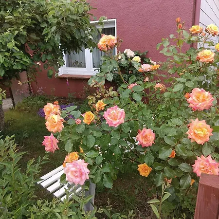 Ferienunterkunft Guest house *